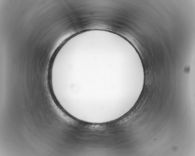 X0000090411139200708101914