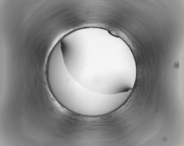 X0000090411140200708101914