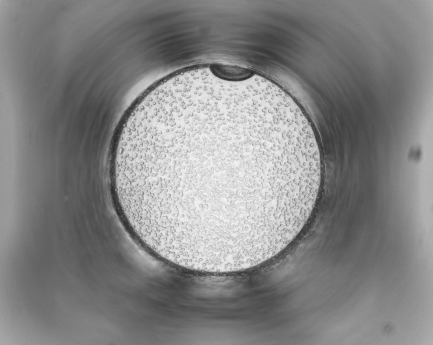 X0000090411141200708101914