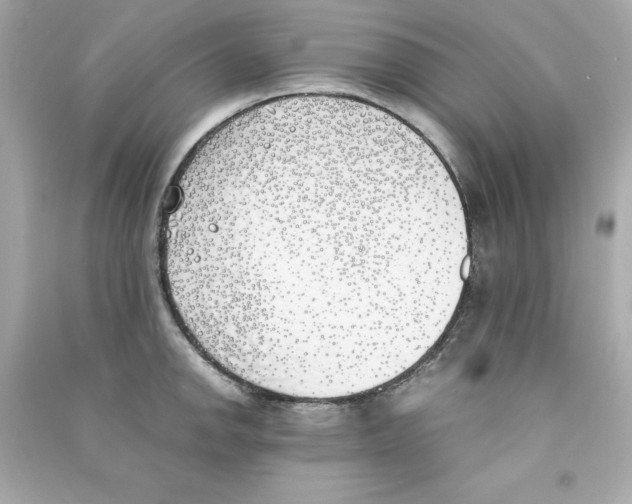 X0000090411142200708101914