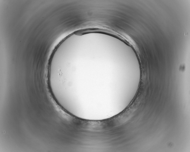 X0000090411144200708101914