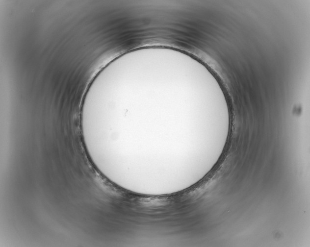X0000090411145200708101914
