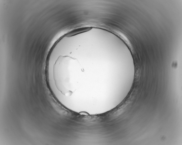 X0000090411146200708101914