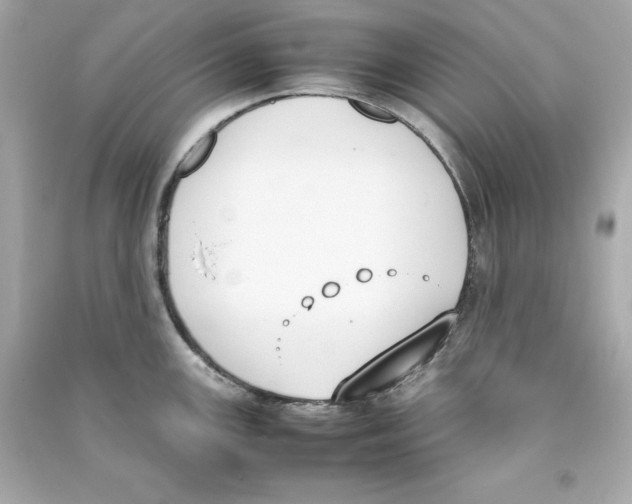 X0000090411147200708101914