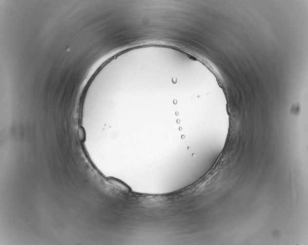 X0000090411148200708101914