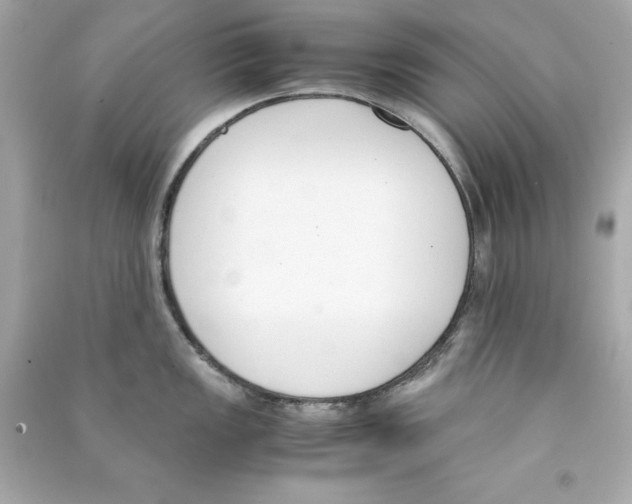 X0000090411149200708101914