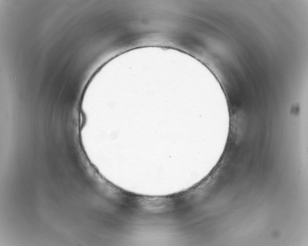 X0000090411150200708101914