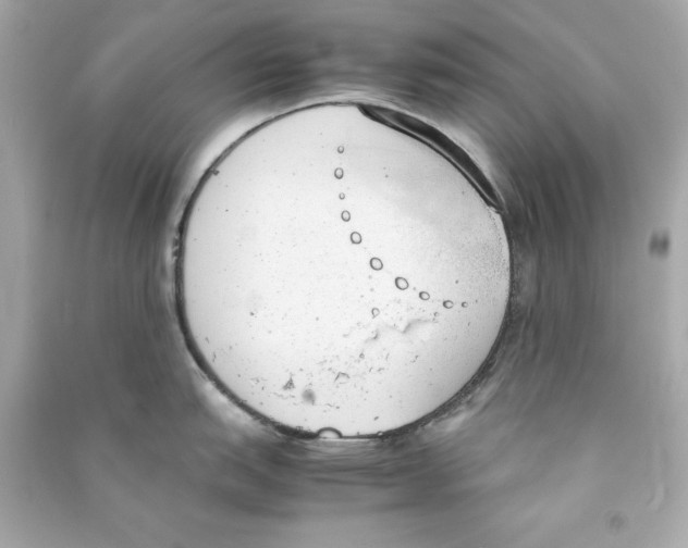 X0000090411151200708101914