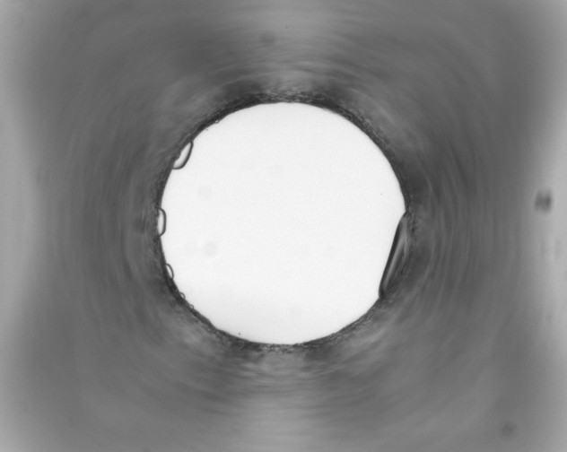 X0000090411153200708101913