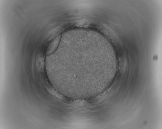 X0000090411154200708101913