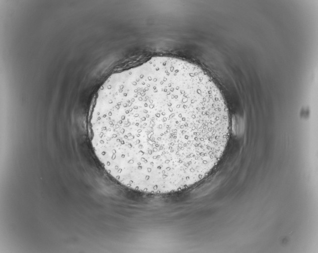 X0000090411155200708101913