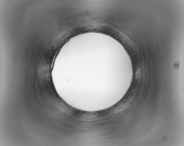 X0000090411156200708101913
