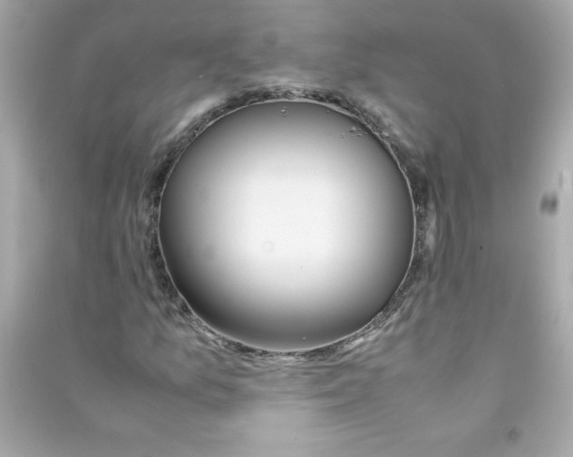 X0000090411157200708101913