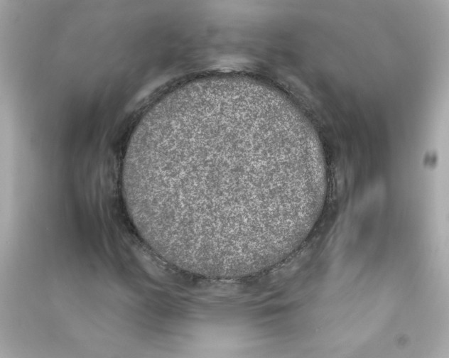 X0000090411158200708101913