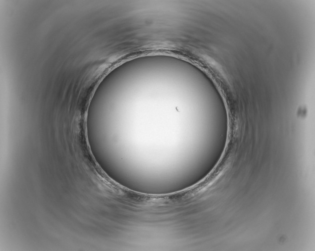X0000090411161200708101913