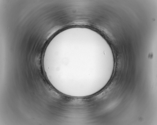 X0000090411162200708101913