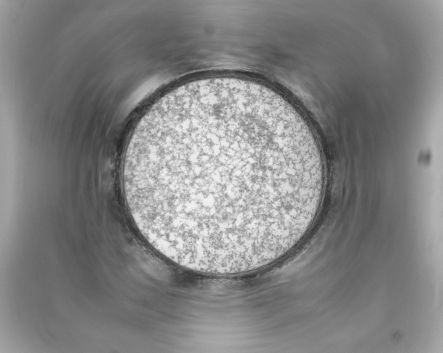 X0000090411163200708101913