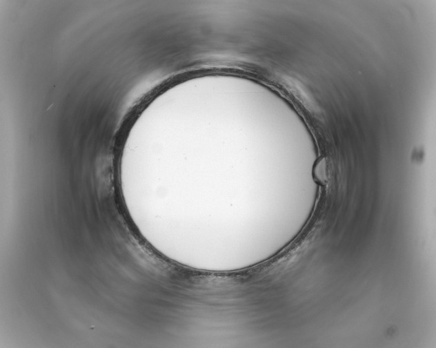 X0000090411164200708101913