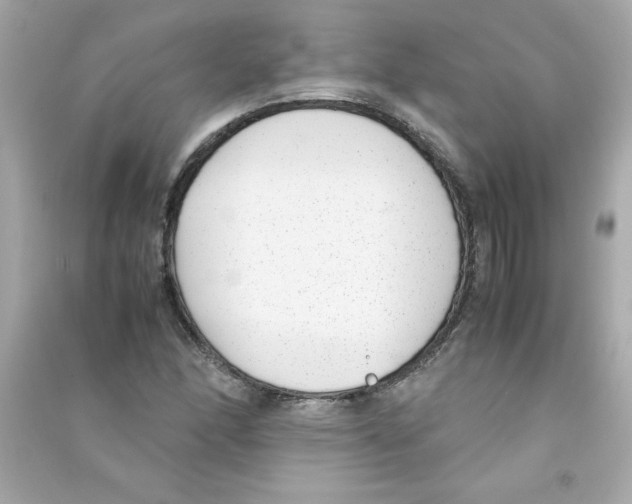 X0000090411166200708101913