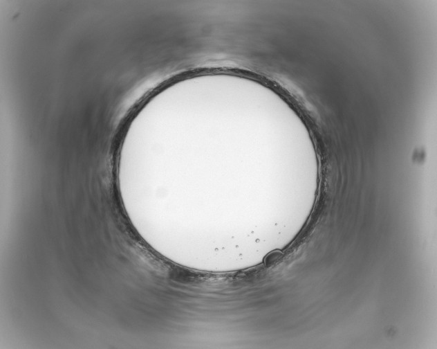 X0000090411167200708101913