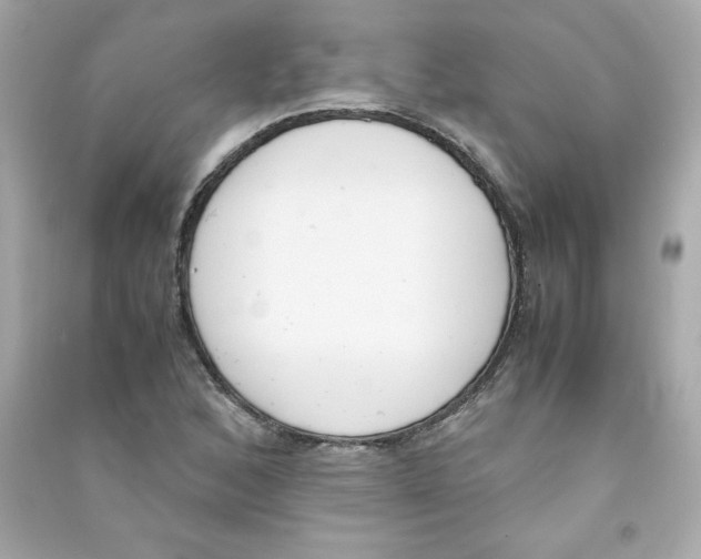 X0000090411168200708101913
