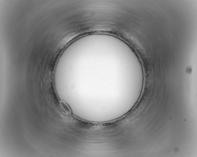 X0000090411169200708101913