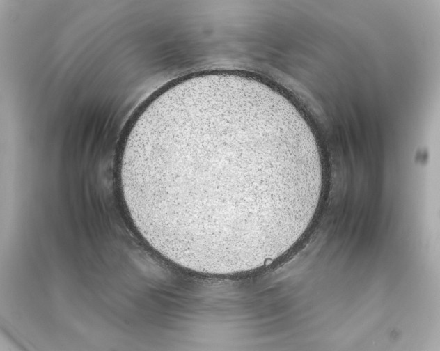 X0000090411170200708101913