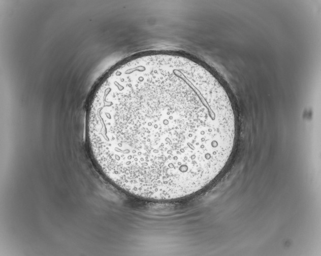 X0000090411171200708101913