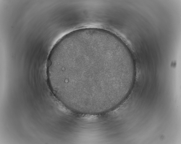 X0000090411174200708101913