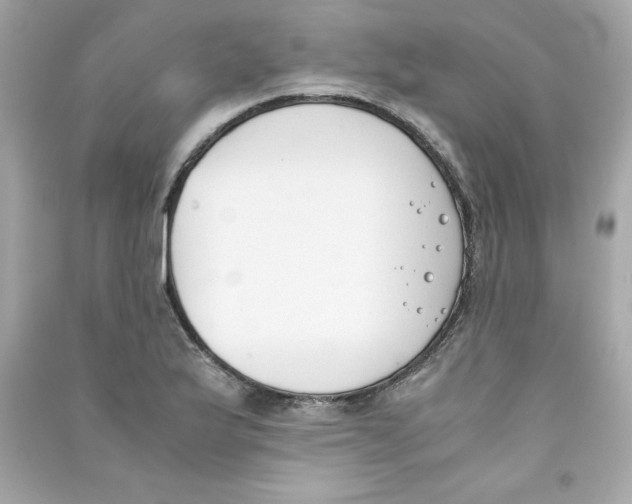 X0000090411175200708101913
