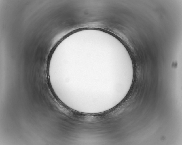 X0000090411176200708101913