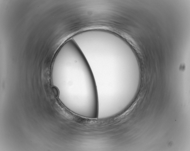 X0000090411177200708101913