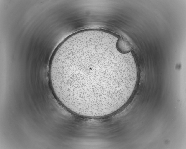 X0000090411178200708101913