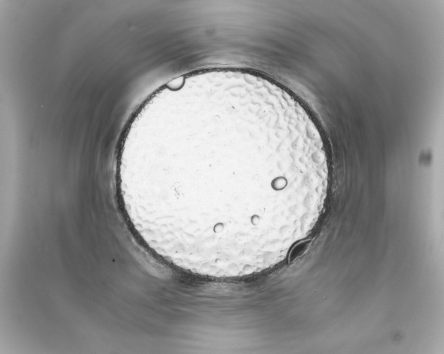 X0000090411179200708101913