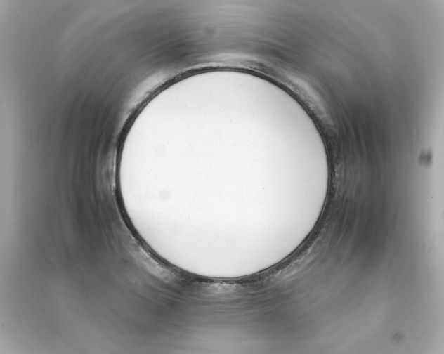 X0000090411180200708101913