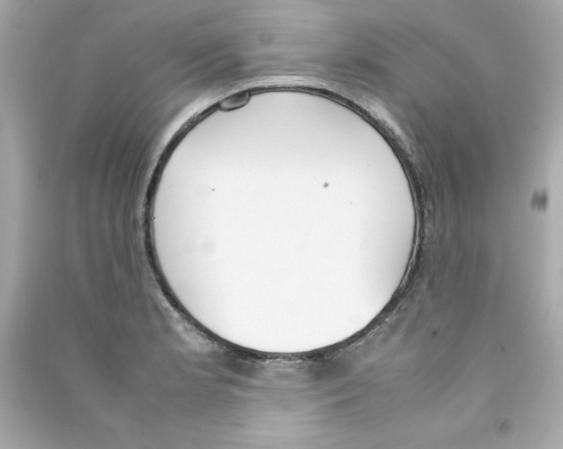 X0000090411181200708101913