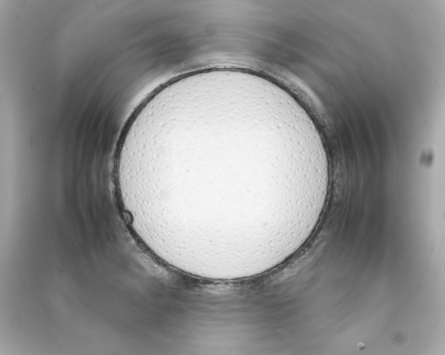 X0000090411182200708101913