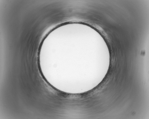 X0000090411183200708101913