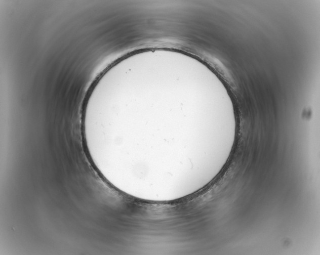 X0000090411184200708101913