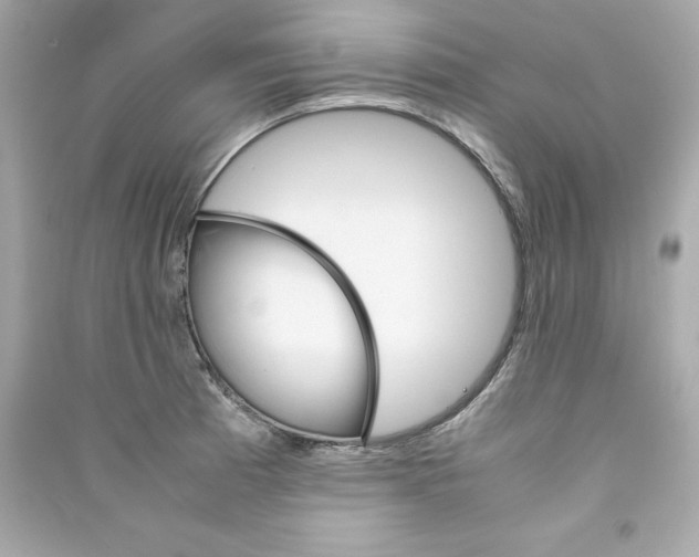 X0000090411185200708101913