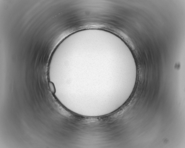 X0000090411186200708101913