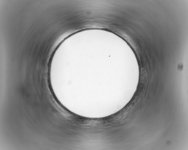 X0000090411187200708101913