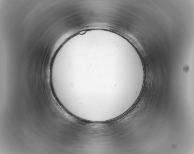 X0000090411188200708101913