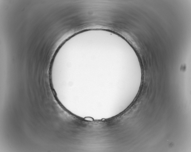 X0000090411189200708101913