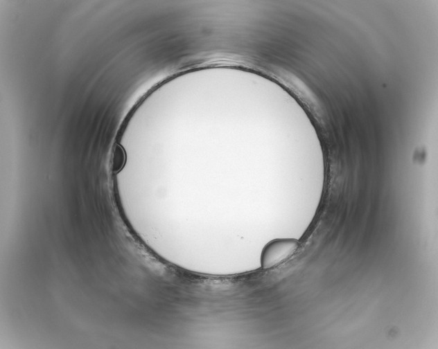 X0000090411190200708101913