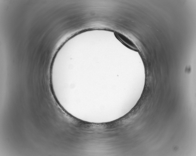 X0000090411191200708101913