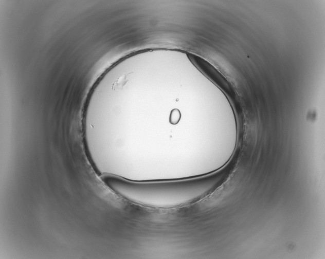 X0000090411192200708101912