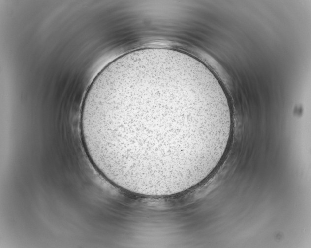 X0000090411194200708101912