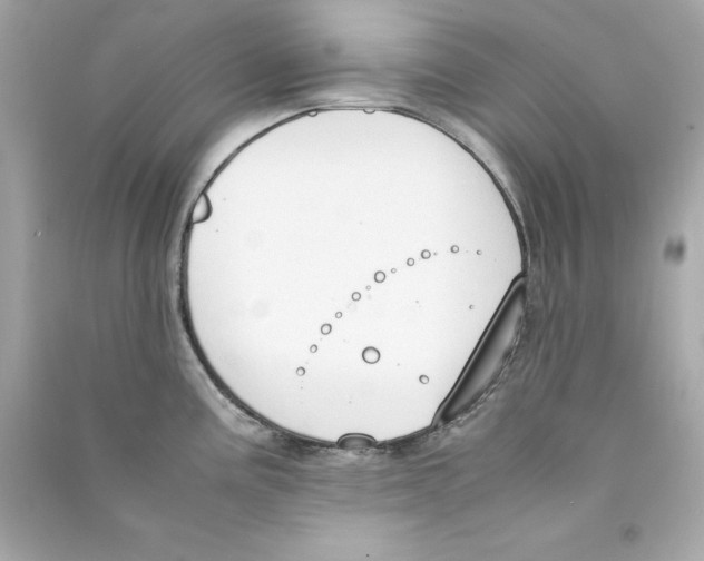 X0000090411195200708101912