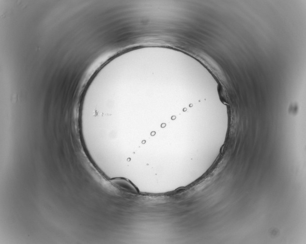 X0000090411196200708101912